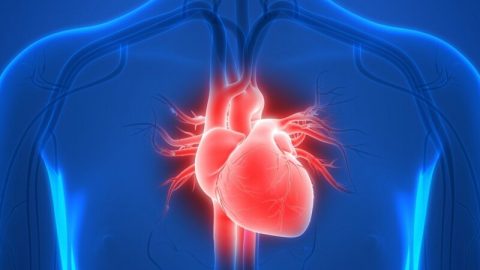 Dėl širdies ir kraujagyslių ligų mirs daugiau nei dėl COVID-19 – nedarykite grubios klaidos